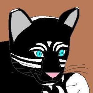 Meet your Posher, Alexandra